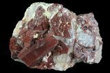 Natural Red Quartz Crystals - Morocco #70761-1